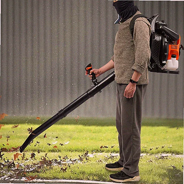 4-Stroke Engine Gas Power Portable Powerful Blowing Machine Backpack Leaf Blower