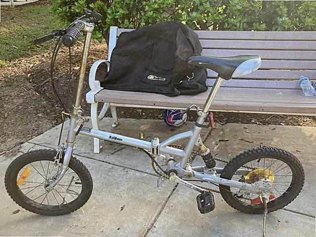 Gray Foldable Portable Travel Bicycle Black Z Bike