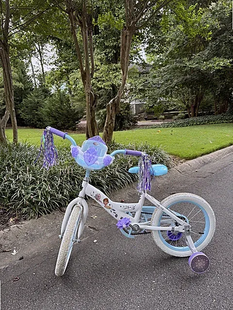 Huffy Disney Frozen Kids Bike 16" with Training Wheels & Doll Carrier